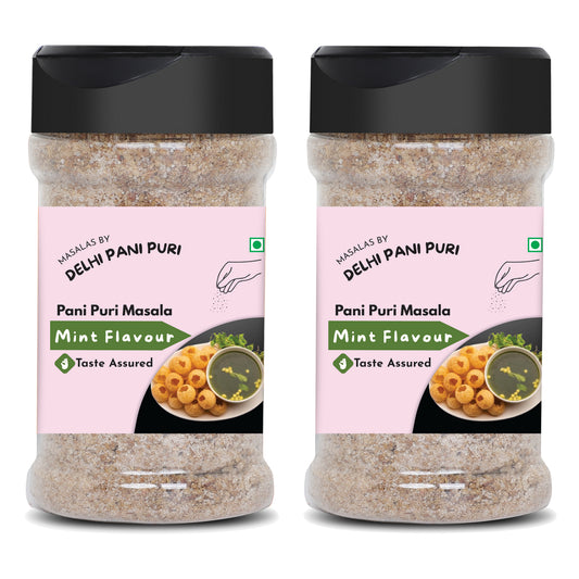 Mint Pani Puri Masala (Pack of 2), 200g