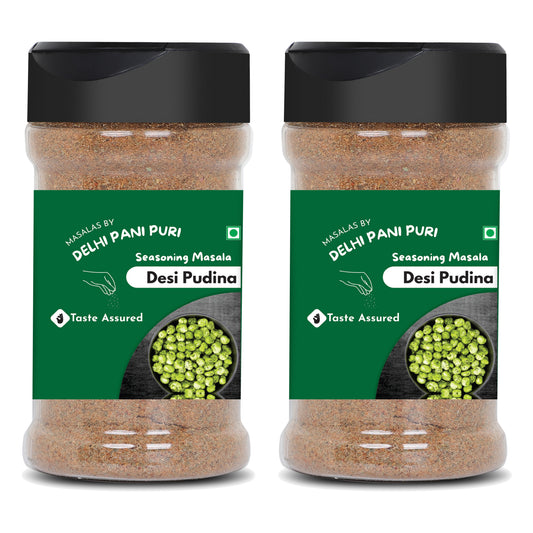 Desi Pudina Seasoning Masala (Pack of 2), 140g